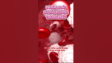 Top những công dụng tuyệt vời của Dây Thần Thông