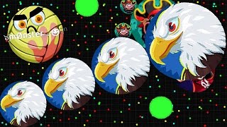 Double Split | Domination Server