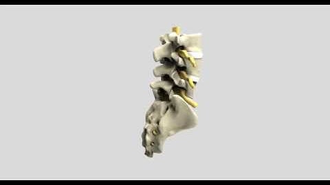 Ejemplo Video didáctico a partir de modelo 3D