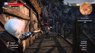 Witcher 3 - Master Marksman Trophy