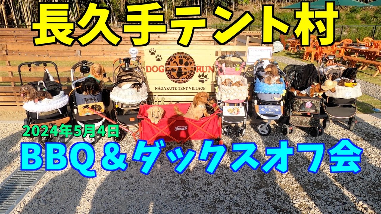 長久手テント村　BBQ＆ダックスオフ会　＃BBQ＃長久手テント村＃ドッグラン