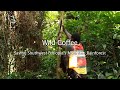 Wild Coffee - Saving Southwest Ethiopia's Mountain Rainforest WCC-PFM Project