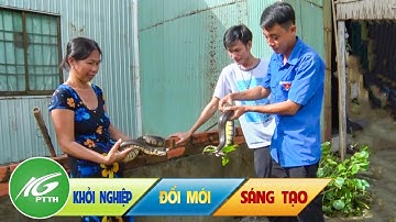 Nghề nuôi rắn ri voi - giúp thanh niên khởi nghiệp tại quê nhà | THKG