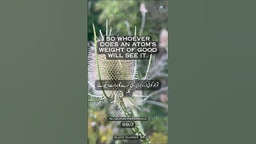 055 Quran Quotes In English Urdu Quran Kareem القرآن الكريم