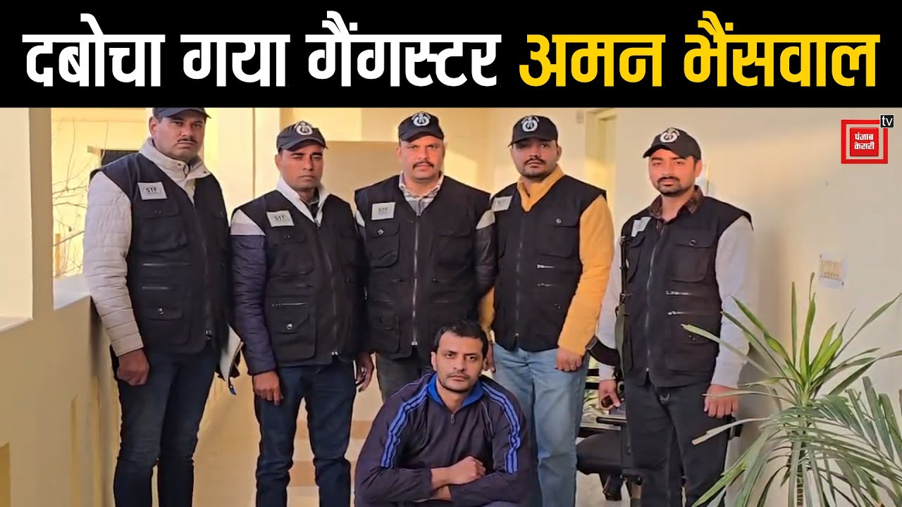 Haryana का कुख्यात Gangster Aman Bhainswal गिरफ्तार, अमेरिका से डिपोर्ट करवाकर STF ने दबोचा