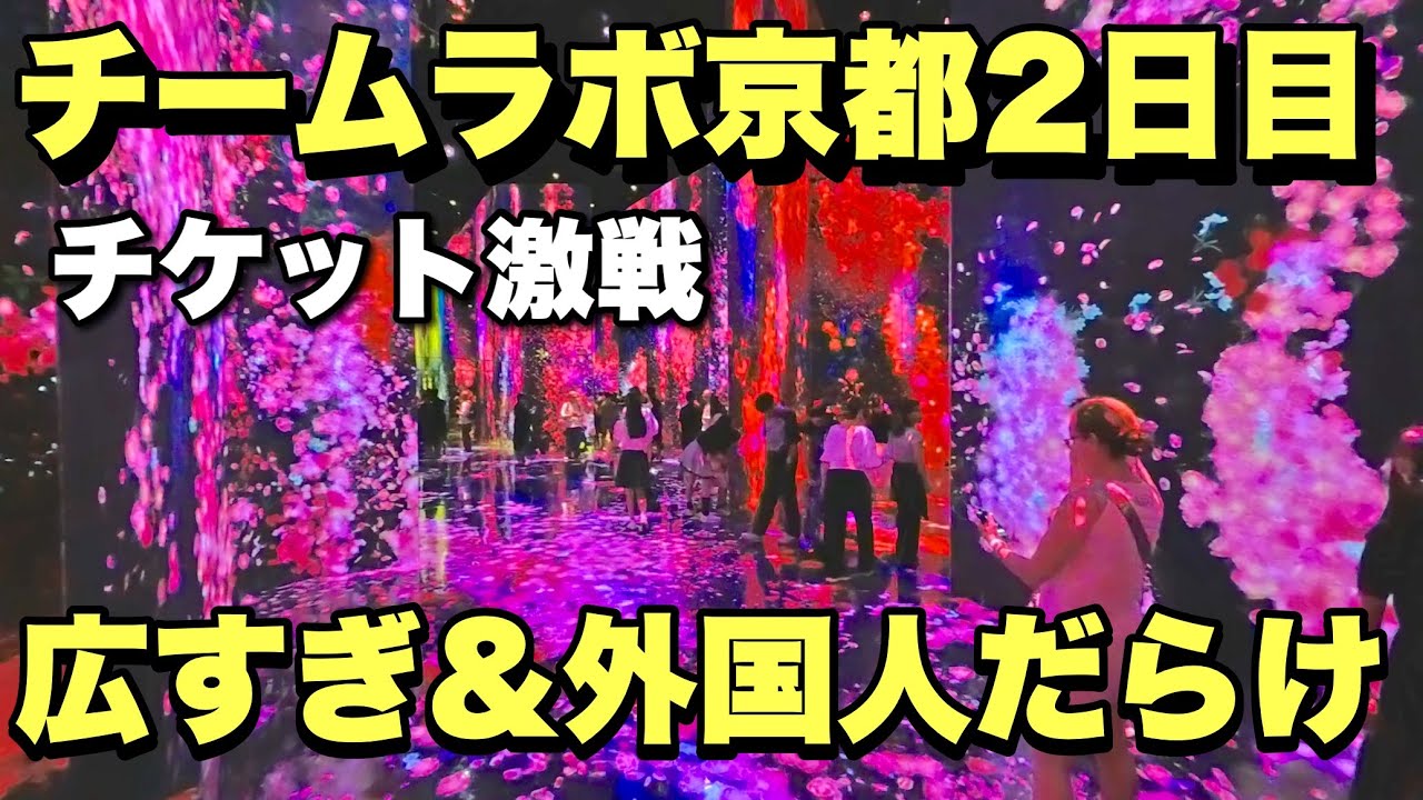 【4K】2025年10月8日（水）チームラボ京都2日目なのにチケット激戦。広すぎ&外国人だらけで脳バグった。