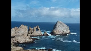 Farallon Islands Adventure, walking tour