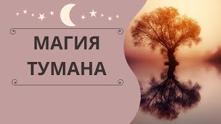 Магия Тумана. Что Таит В Себе Эта Мистическая Субстанция?