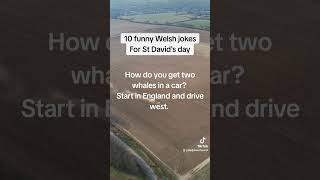 Happy St David's day, here are 110 welsh jokes. #funny #wales #comedy