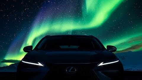 The all-new Lexus NX reveal