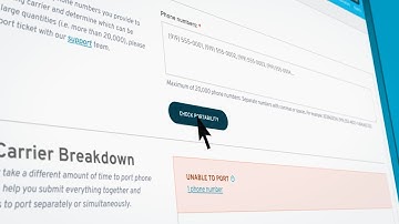 Our NEW porting experience