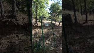 Verano 2025 en la montaña de la Sierra de Guadarrama, Madrid