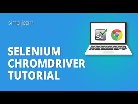 Everything You Need to Know About the ChromeDriver in Selenium