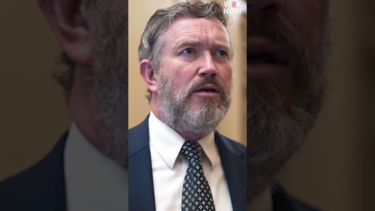 Trump calls Thomas Massie ‘worse’ than Bill Cassidy after senator’s primary defeat