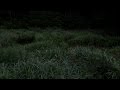 【自然音】虫の鳴き声 / Nature Sounds - Insects Sound
