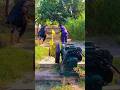 diesel engine full start powerful
