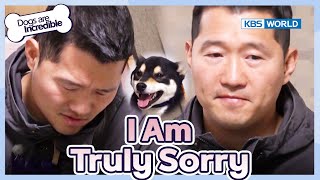 Trainer Kang Apologizes😥 [Dogs Are Incredible : EP.209-3] | KBS WORLD TV 240305