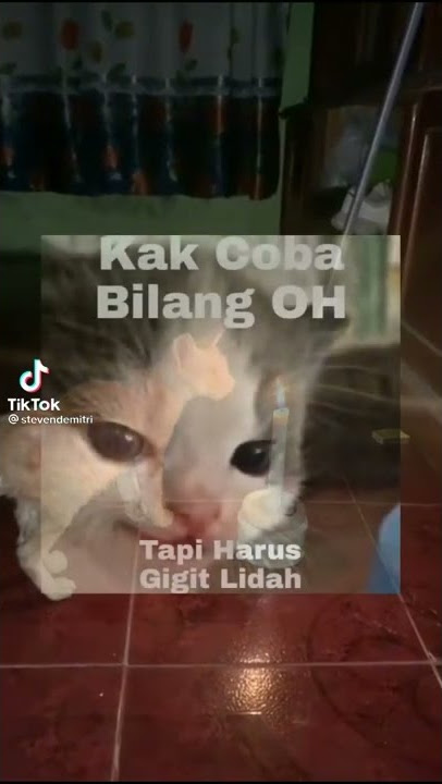 Video tiktok viral || ngomong o tapi sambil gigit bibir🐱