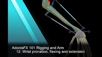 AdonisFX Tutorials 101 - Rigging an Arm - 12: Wrist pronation, flexing and extension (version 1.4)
