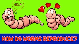 The ULTIMATE GUIDE to WORM REPRODUCTION