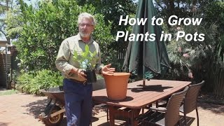 How to Grow Plants in Pots