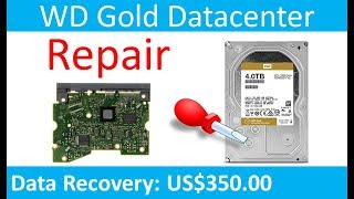 WD Gold Datacenter WD4002FYYZ WD60002FRYZ WD1005FBYZ WD2005FBYZ WD6002FRYZ WD101KRYZ WD121KRYZ repa