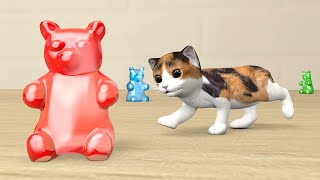 Little kitten  cartoon for kids