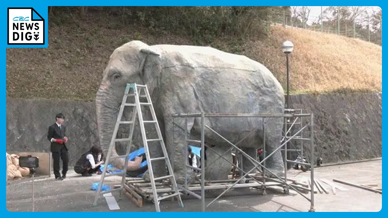 News] Breaking 死んでる象 African at dies 36) age (estimated Ben elephant 絵画