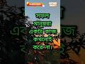 সফল মানুষরা একটা কাজ কখনোই করে না।💯 #motivation #selfimprovement  #shorts