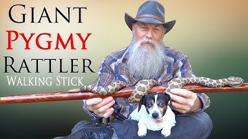 Carving a Massasauga Rattlesnake Walking Stick