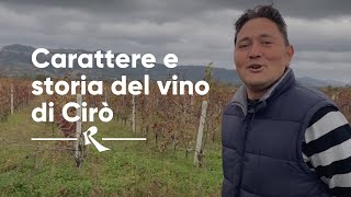 Cote di Franze, Cirò, Calabria - carattere e storia del vino di Cirò | Rimessa Roscioli screenshot 3