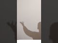 First video #music