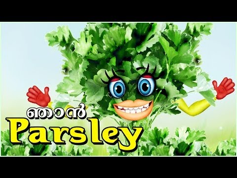 The Speaking "Parsley" | Malayalam Kids Animation