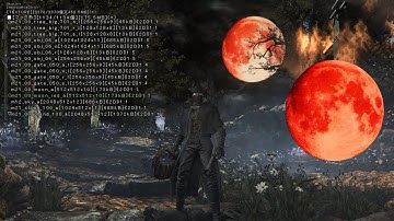 Bloodborne Debug Menu