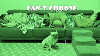 Who Will My Dogs Choose To Sleep With? | Dog Night Vision