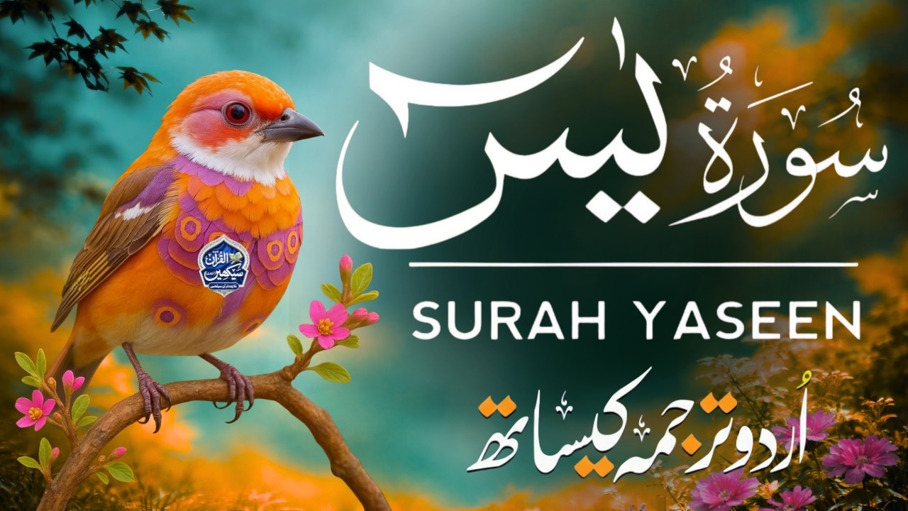 Surah Yaseen (سورہ یٰسین) Full | Peaceful & Soul Soothing Recitation