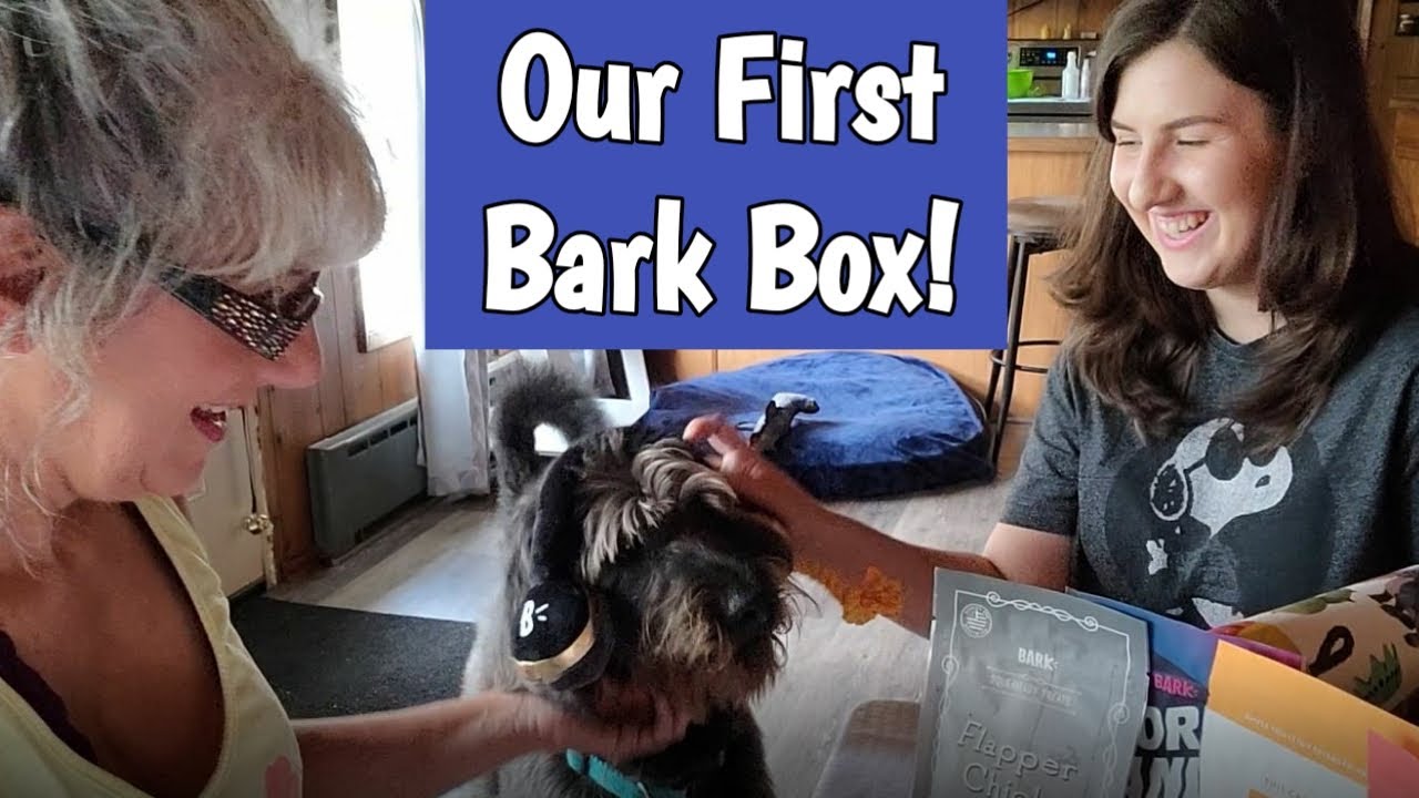 Our First Bark Box (not sponsored) YouTube