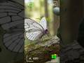 CATERPIE to BUTTERFREE: Realistic Evolution 🦋