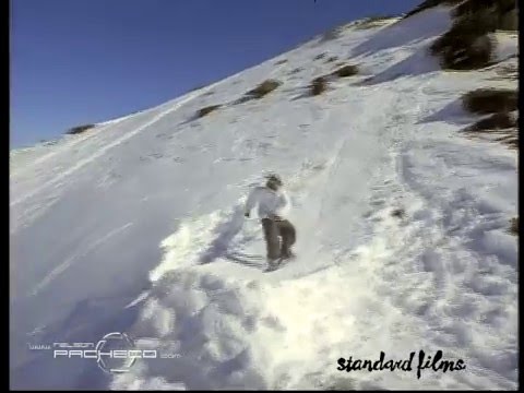 The Best of the Snowboard edited by Nelson Pacheco