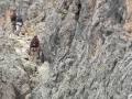 Klettersteig Santnerpass