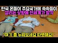 한국온돌이 주요국가에 속속들이 깔리는 상황에 전세계가 발칵