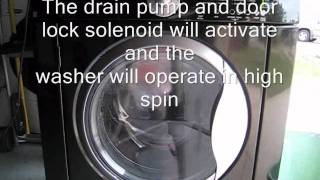 Black Frigidaire Front Loading Washer Diagnostic Test