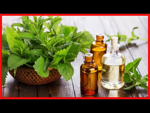 Os 8 Benefícios do Óleo de Mirra Para Saúde | Dicas de Saúde