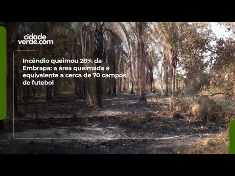 Fire burns 20% of Embrapa: the burned area is equivalent to about 70 soccer fields