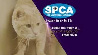 SPCA Gala V1 30