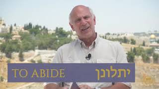 Learn Hebrew! Hebrew Gem of the Day "To Abide"