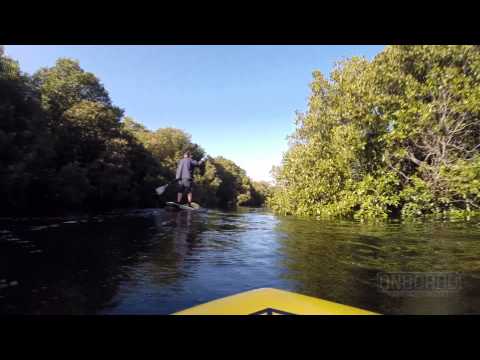 Barker Inlet Mangroves SA Sup Adventure