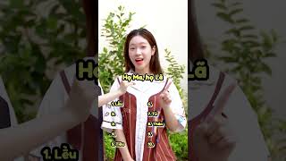 Top 10 Dòng Họ Việt Nam Có Nguồn Gốc Từ Trung Quốc