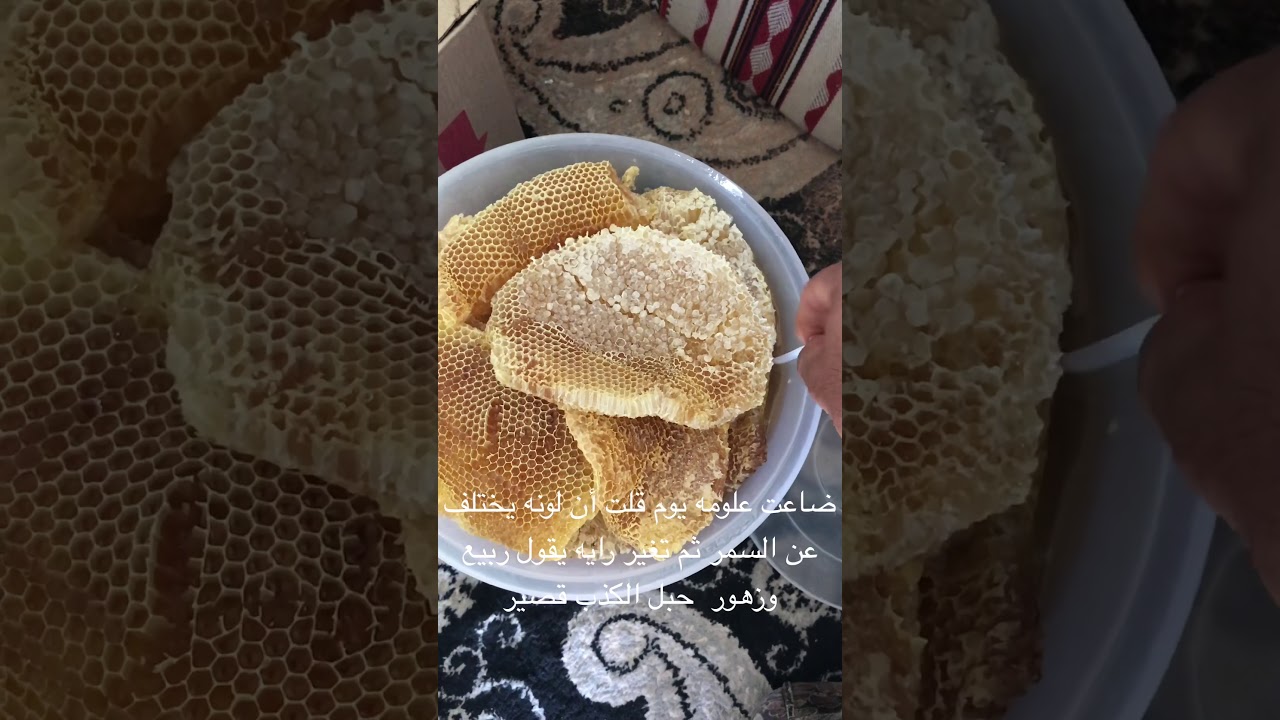 حقيقة المناحل والخيم المنتشرة في الطرقات بالآونة الأخيرة