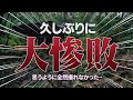 #11【初心者向け◆写真の撮り方講座】高知県の竹林寺に撮影に行ったが久しぶりの大惨敗！【構図から設定の仕方まで分かりやすく】